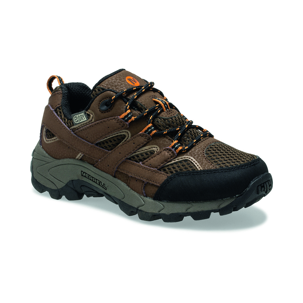 moab 2 low lace waterproof sneaker