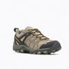 ACCENTOR 3 - 