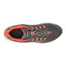 FLY STRIKE - 