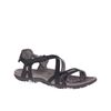 SANDSPUR ROSE LTR - 
