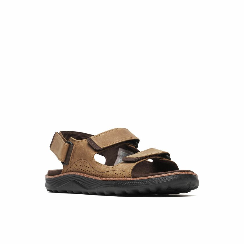 COVE LTR BACKSTRAP M #2